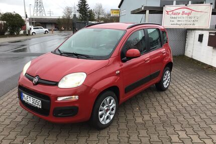 Fiat Panda Gebrauchtwagen