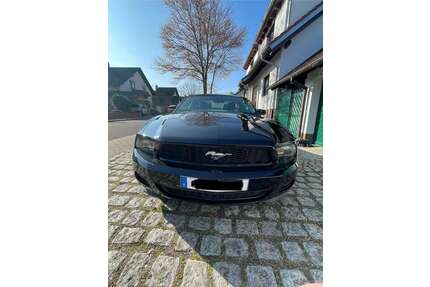 Ford Mustang Gebrauchtwagen