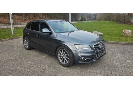 Audi Q5 Gebrauchtwagen