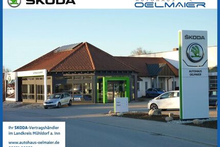 Skoda Octavia Gebrauchtwagen