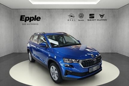 Skoda Karoq Gebrauchtwagen