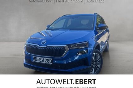 Skoda Karoq Gebrauchtwagen