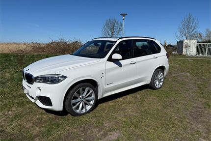 BMW X5 Gebrauchtwagen