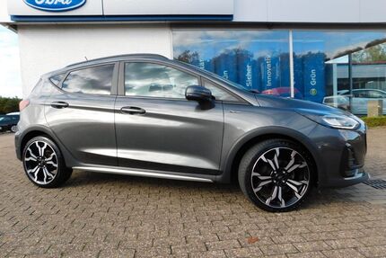 Ford Fiesta Gebrauchtwagen