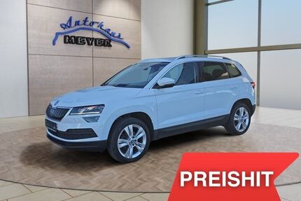 Skoda Karoq Gebrauchtwagen