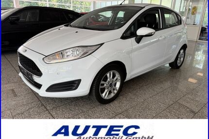 Ford Fiesta Gebrauchtwagen