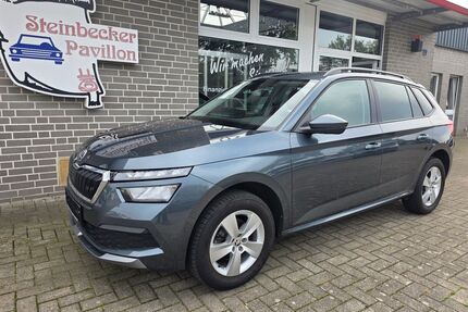 Skoda Kamiq Gebrauchtwagen