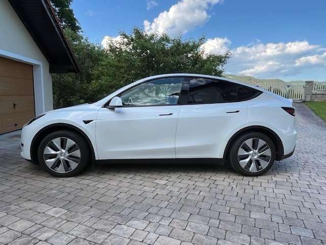 Model Y