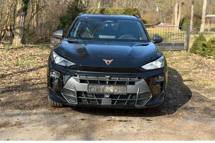 Cupra Terramar Gebrauchtwagen