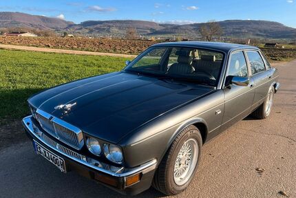 Jaguar XJ40 Gebrauchtwagen