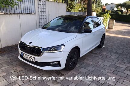 Skoda Fabia Gebrauchtwagen