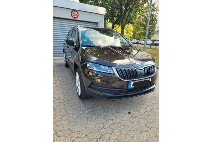 Skoda Karoq Gebrauchtwagen