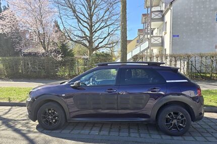 Citroen C4 Cactus Gebrauchtwagen