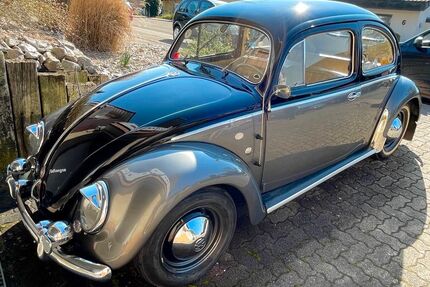 VW Käfer Gebrauchtwagen