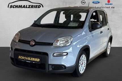 Fiat Panda Gebrauchtwagen