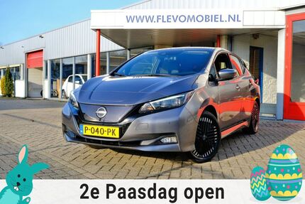 Nissan Leaf Gebrauchtwagen