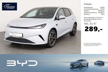 BYD DOLPHIN Gebrauchtwagen