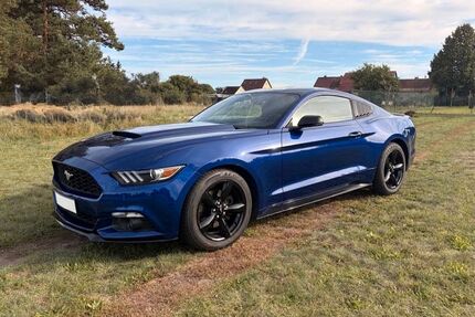 Ford Mustang Gebrauchtwagen