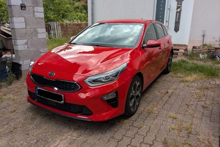 Kia ceed / Ceed Gebrauchtwagen