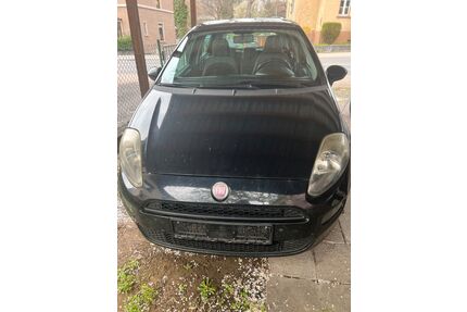 Fiat Punto Gebrauchtwagen