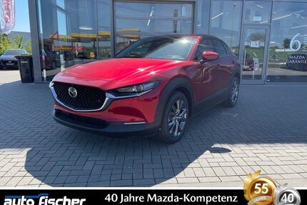 Mazda CX-30 Gebrauchtwagen