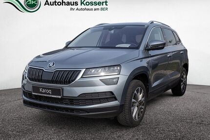 Skoda Karoq Gebrauchtwagen