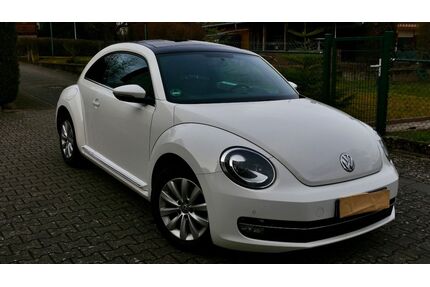VW Beetle Gebrauchtwagen