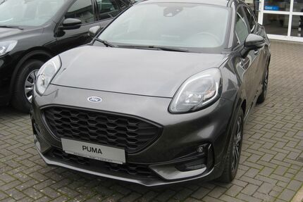 Ford Puma Gebrauchtwagen