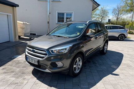 Ford Kuga Gebrauchtwagen