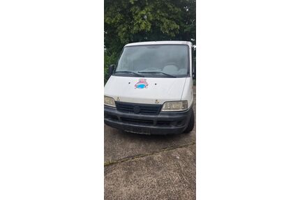 Fiat Ducato Gebrauchtwagen