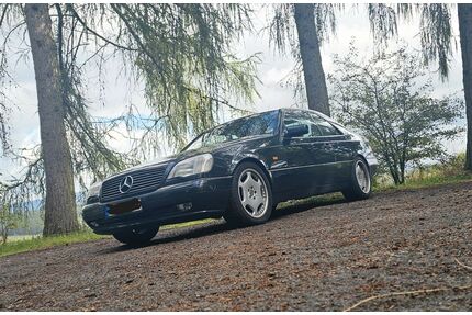 Mercedes-Benz CL 500 Gebrauchtwagen
