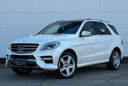 Mercedes-Benz ML 250 Gebrauchtwagen