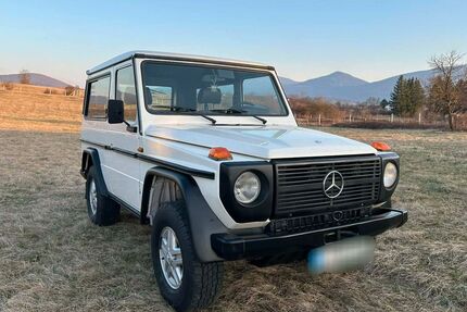 Mercedes-Benz G 250 Gebrauchtwagen