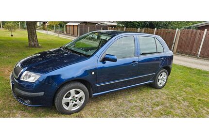 Skoda Fabia Gebrauchtwagen
