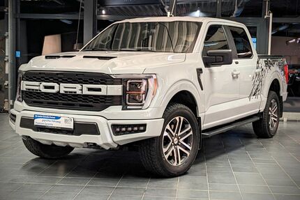 Ford F 150 Gebrauchtwagen
