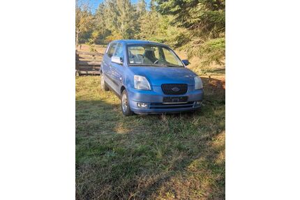 Kia Picanto Gebrauchtwagen