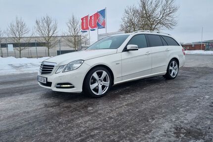 Mercedes-Benz E 220 Gebrauchtwagen