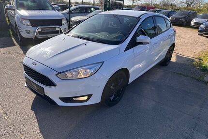Ford Focus Gebrauchtwagen