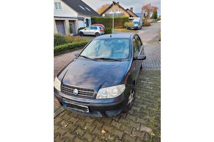 Fiat Punto Gebrauchtwagen