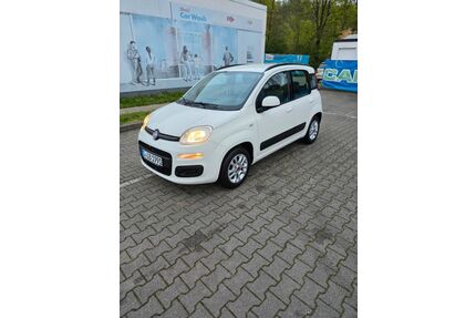 Fiat Panda Gebrauchtwagen