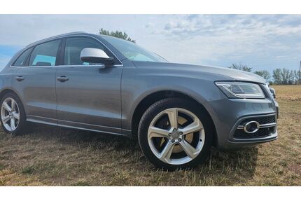Audi SQ5 Gebrauchtwagen