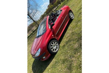 Peugeot 206 Gebrauchtwagen