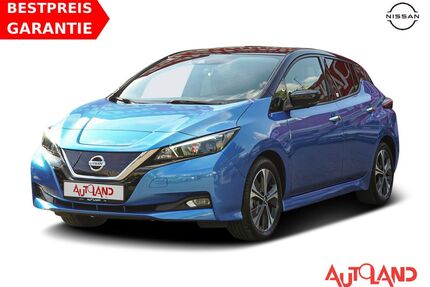 Nissan Leaf Gebrauchtwagen