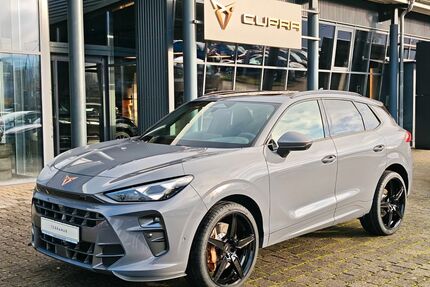 Cupra Terramar Gebrauchtwagen