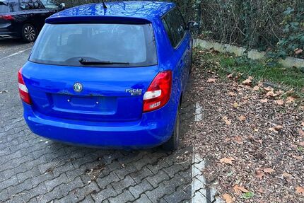 Skoda Fabia Gebrauchtwagen