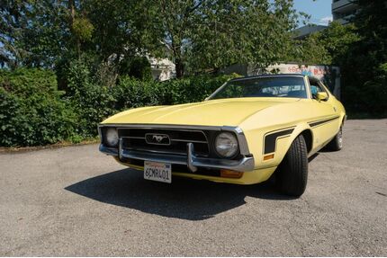 Ford Mustang Gebrauchtwagen