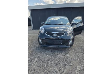 Kia Picanto Gebrauchtwagen