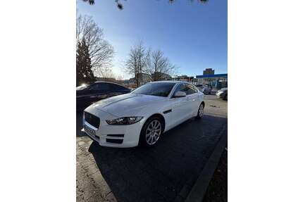 Jaguar XE Gebrauchtwagen