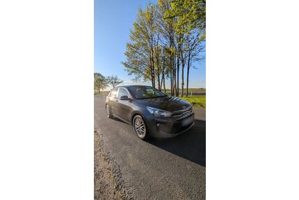 Kia Rio Gebrauchtwagen