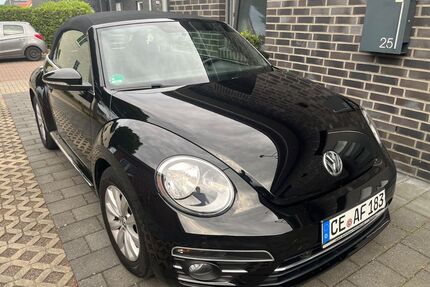 VW Beetle Gebrauchtwagen